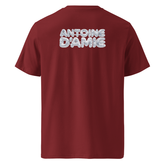 MR ANTOINE PREPPY CHRISTMAS T-Shirt - Antoine D'Amie