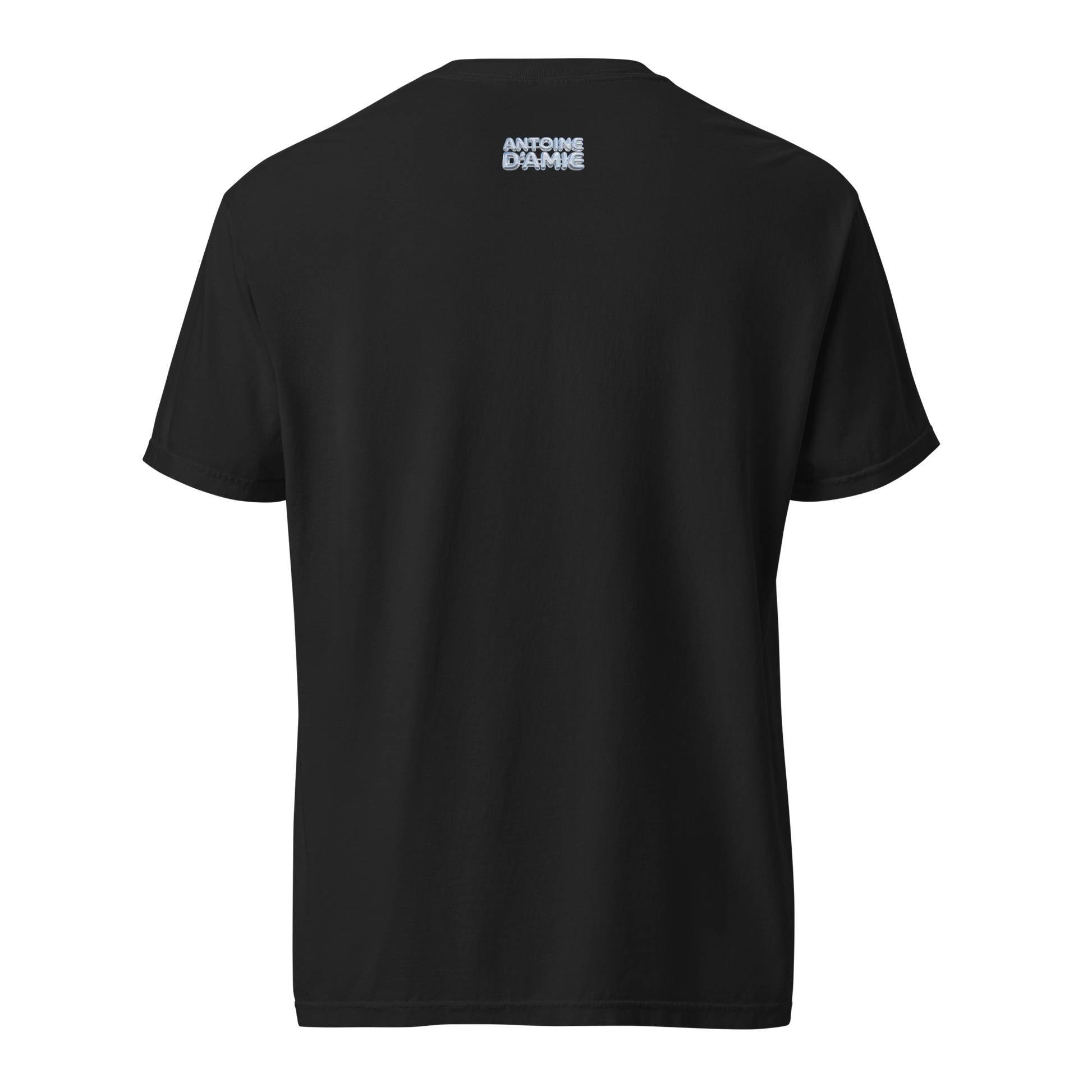 MR ANTOINE Embroidered Minimal T-Shirt - Antoine D'Amie