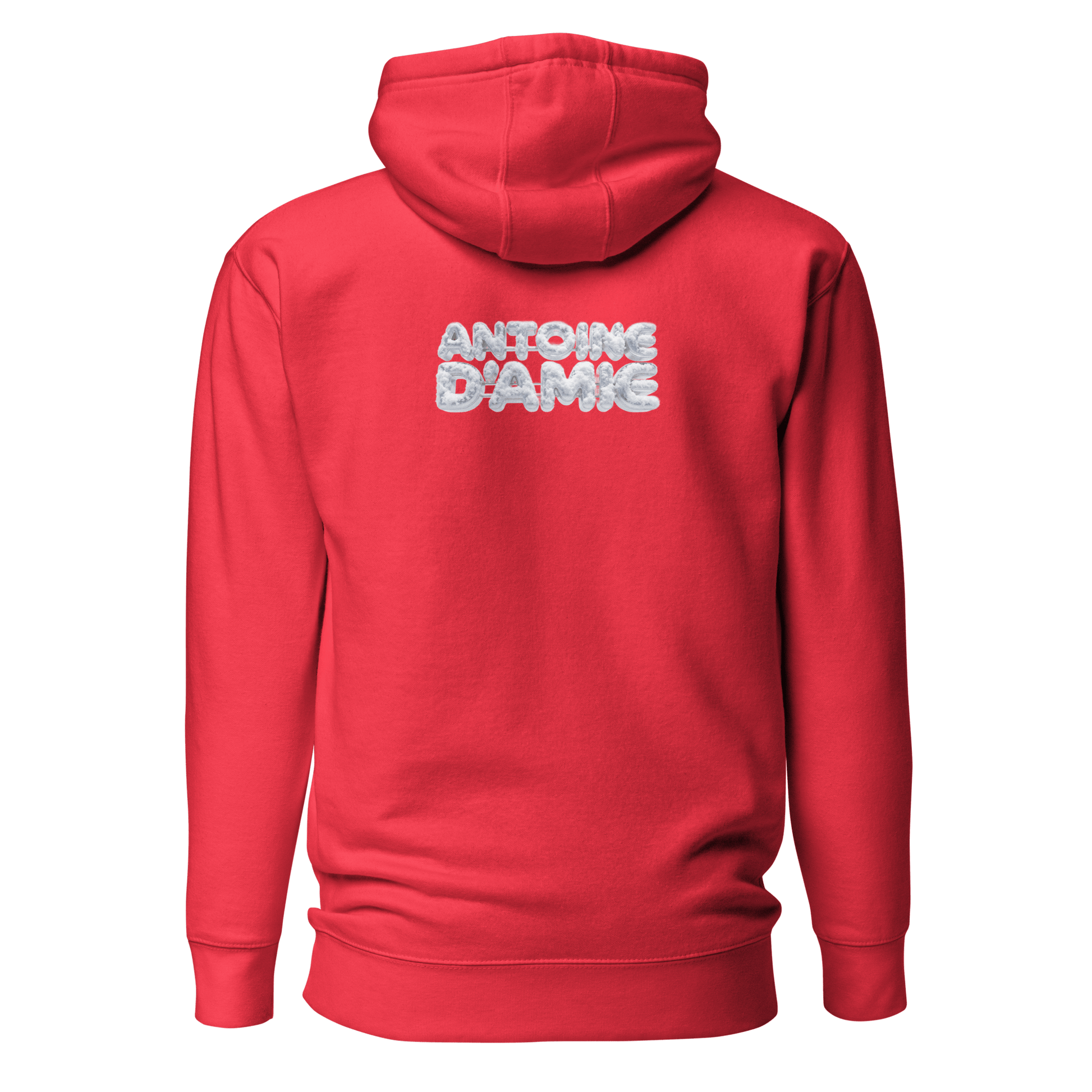 MR ANTOINE PREPPY CHRISTMAS Hoodie - Antoine D'Amie